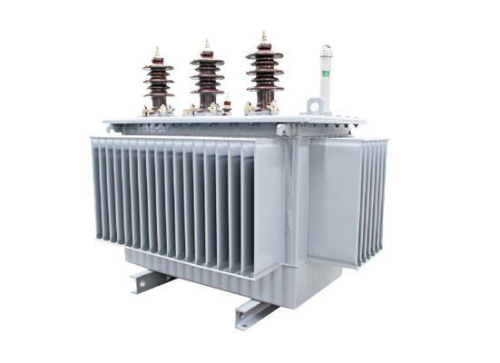 S11 Oil Immersed Type Transformer, Factory Supply Power Transformer, Hot Sale Distribution Transformers supplier